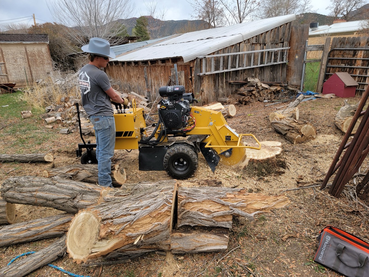 Stump grinding operation