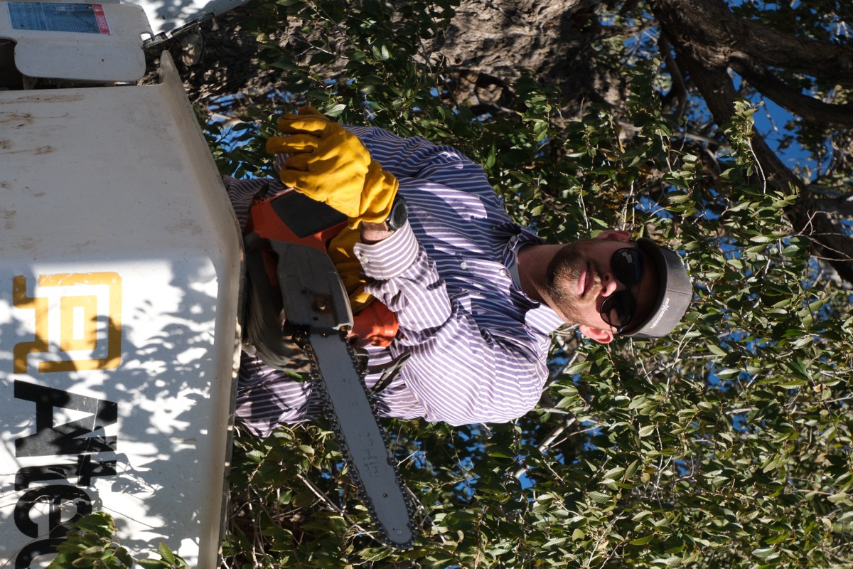 Chainsaw work from the bucket truck