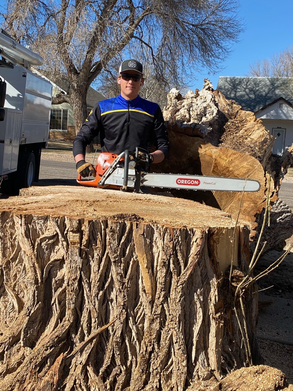 Massive stump after tree removal
